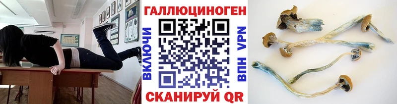 Галлюциногенные грибы ЛСД  Судак 